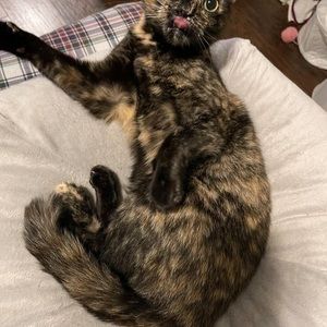 Meet your Posher, Alaina